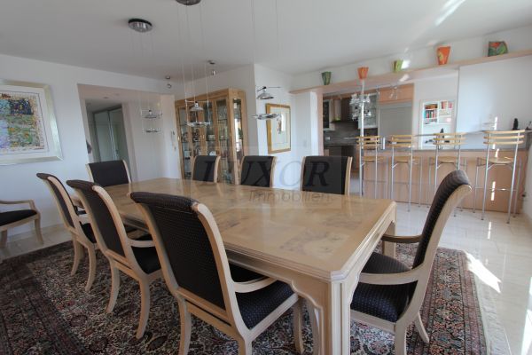 Ausblick in Wiesbaden Immobilien-Makler